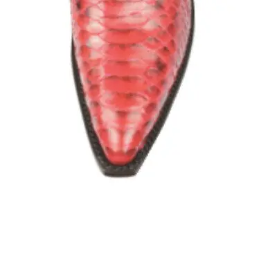 bg-puntera-daslu Custom cowboy boots for men and women, Create your boots