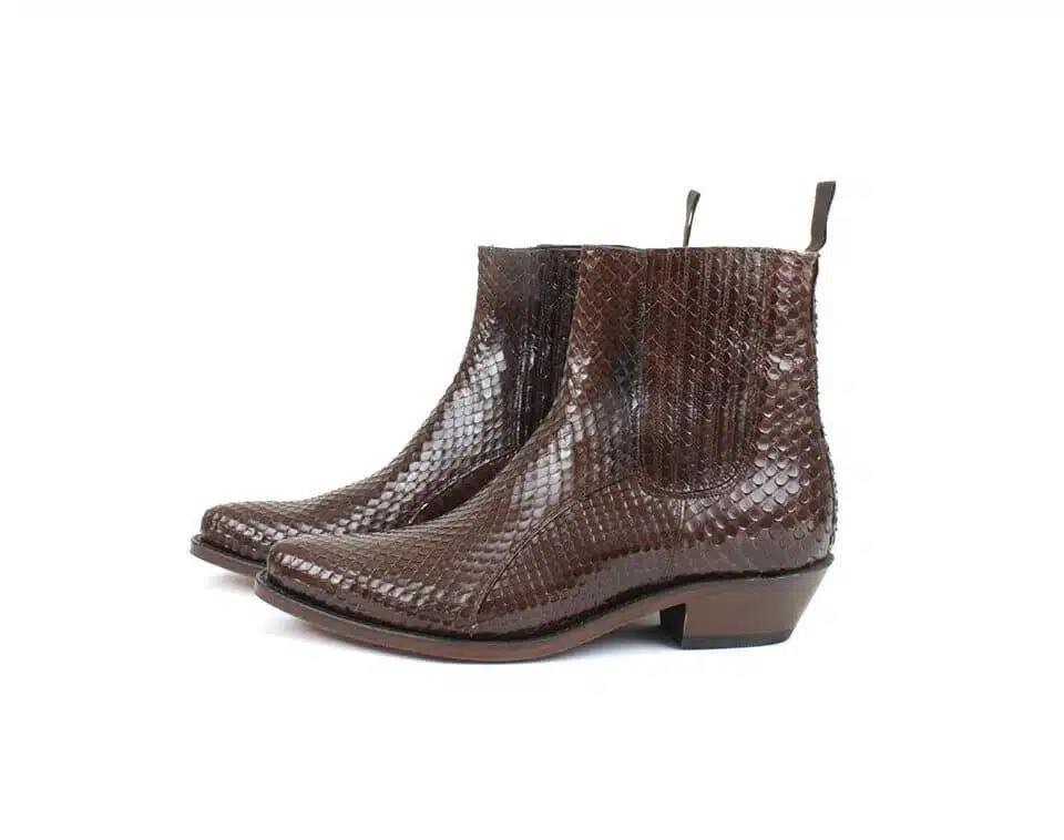 621 J DENOS PYTHON MARRON BC